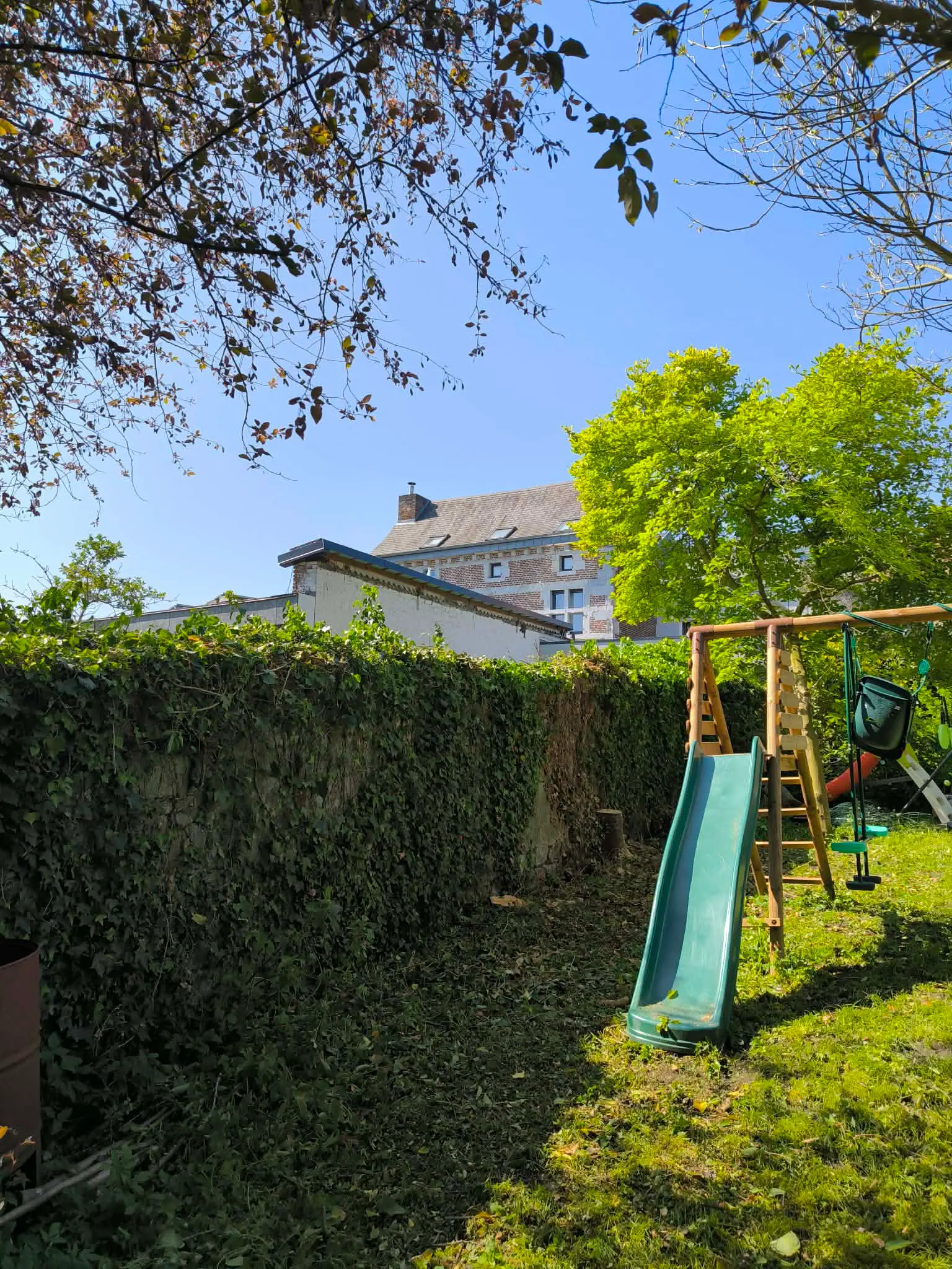 Terrain après abattage de l'arbre